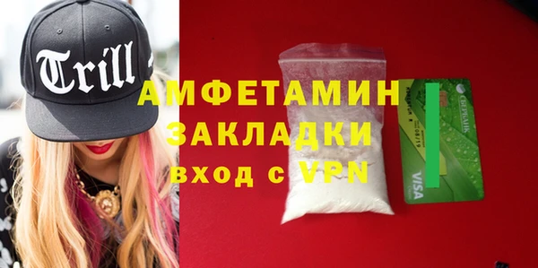 стафф Алзамай