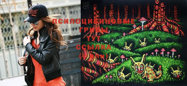 стафф Алзамай