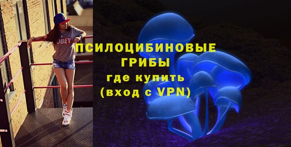 стафф Алзамай