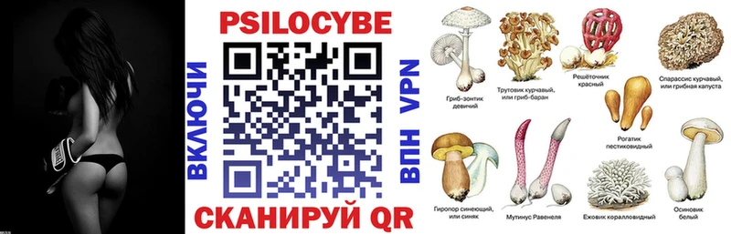 Псилоцибиновые грибы GOLDEN TEACHER  Полярные Зори 